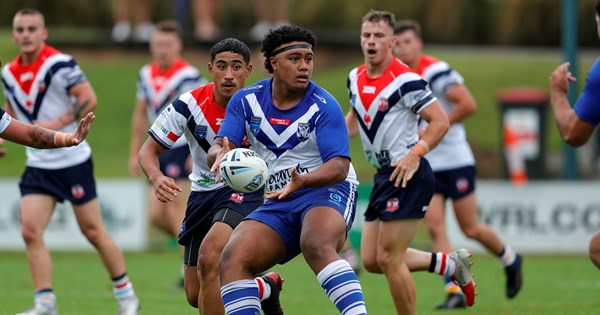 hm---canterbury-bulldogs4.jpg